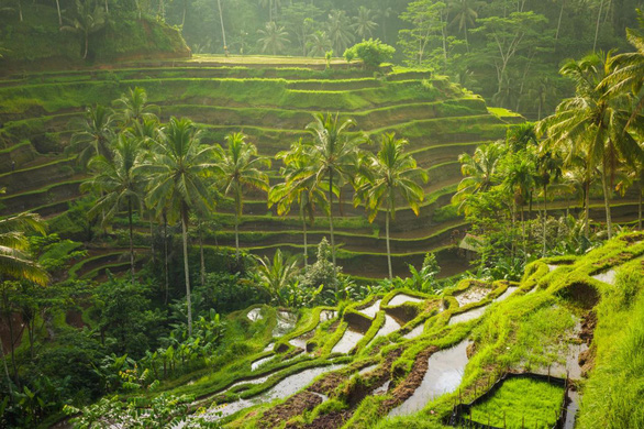 Bali - Thiên đường du lịch mang đậm bản sắc văn hóa Hindu - Ảnh 4.