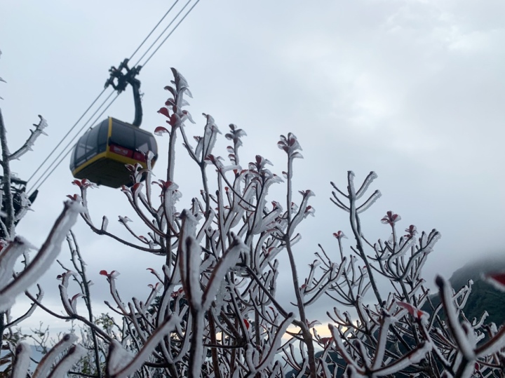 Băng giá phủ trắng trên cung đường lên đỉnh Fansipan - Ảnh 9. Băng giá phủ trắng trên cung đường lên đỉnh Fansipan - Ảnh 9.