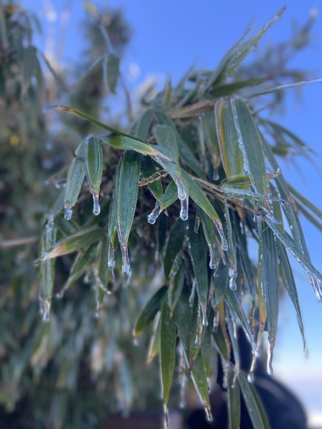 Xuất hiện băng giá trên đỉnh Fansipan, các bạn trẻ rục rịch lên kế hoạch đi săn tuyết rơi - Ảnh 7.