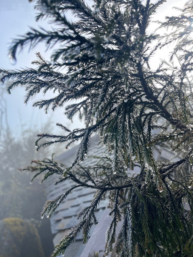 Xuất hiện băng giá trên đỉnh Fansipan, các bạn trẻ rục rịch lên kế hoạch đi săn tuyết rơi - Ảnh 6.