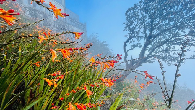 Xuất hiện băng giá trên đỉnh Fansipan, các bạn trẻ rục rịch lên kế hoạch đi săn tuyết rơi - Ảnh 5.