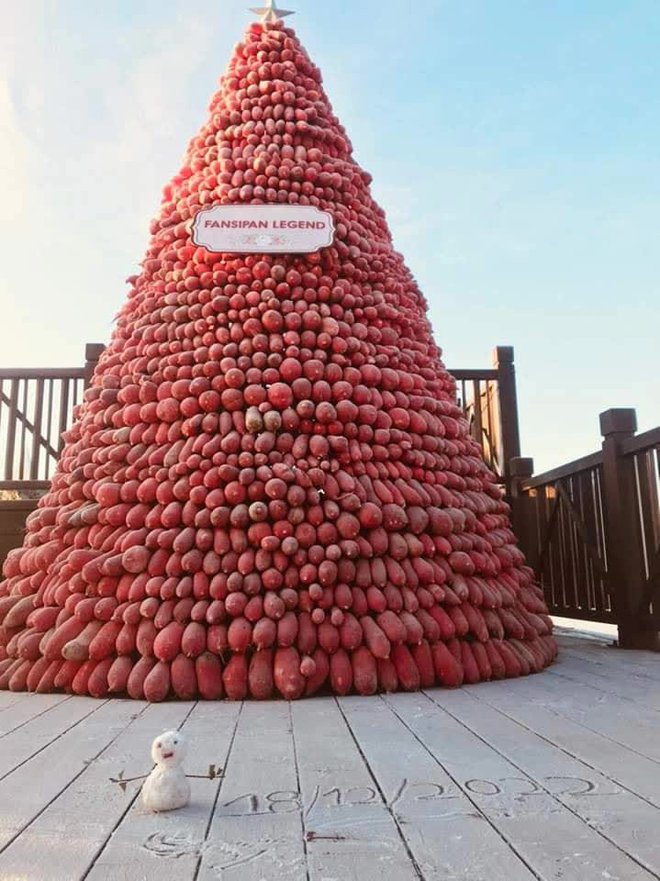 Xuất hiện băng giá trên đỉnh Fansipan, các bạn trẻ rục rịch lên kế hoạch đi săn tuyết rơi - Ảnh 1.