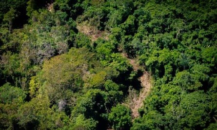 “Con đường dẫn đến sự hỗn loạn” ở Amazon – Nơi nạn đào vàng trái phép tạo ra thảm kịch nhân đạo khủng khiếp - Ảnh 3.