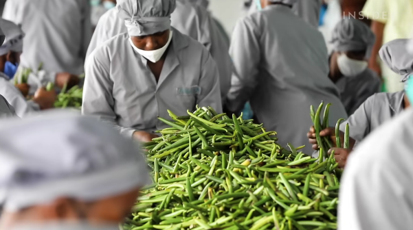 Vì sao Madagascar vẫn nghèo dù đi đầu về xuất khẩu vani - hương liệu ‘vàng xanh’ đắt hơn bạc? - Ảnh 6.