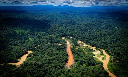 “Con đường dẫn đến sự hỗn loạn” ở Amazon – Nơi nạn đào vàng trái phép tạo ra thảm kịch nhân đạo khủng khiếp - Ảnh 2.