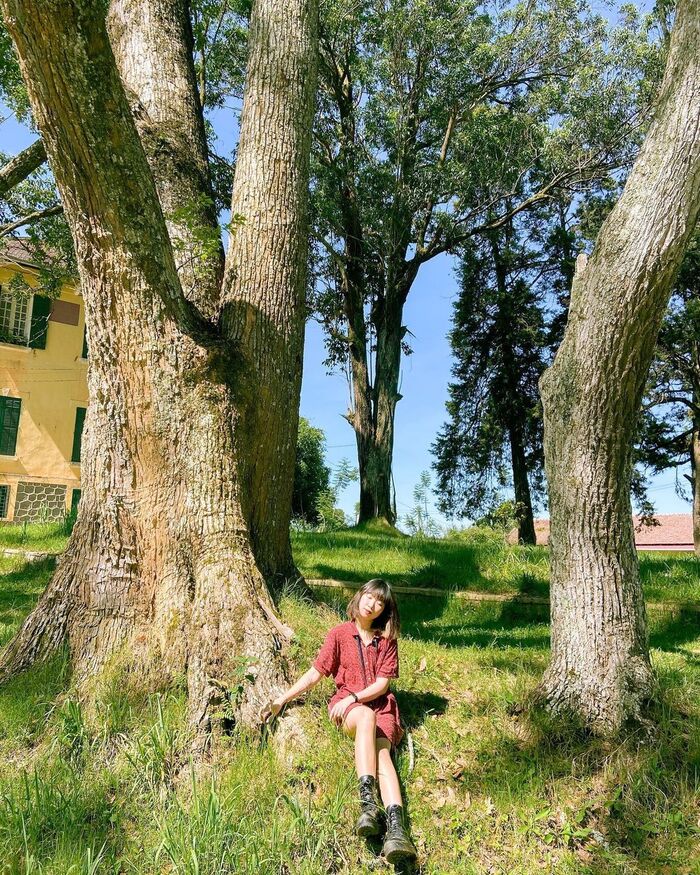 Bên cạnh các dinh vua Bảo Đại, ở Đà Lạt còn có một dinh khác cổ kính không kém - Ảnh 8. Bên cạnh các dinh vua Bảo Đại, ở Đà Lạt còn có một dinh khác cổ kính không kém - Ảnh 8.