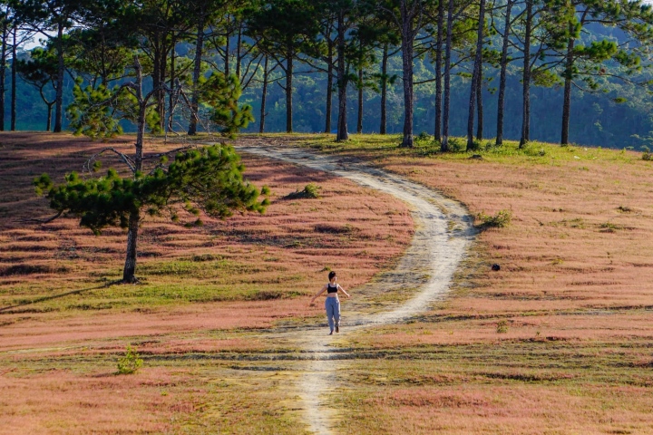 Xao xuyến trước cảnh đẹp như tranh vẽ của đồi cỏ hồng hoang sơ ở Đức Trọng - Ảnh 7.