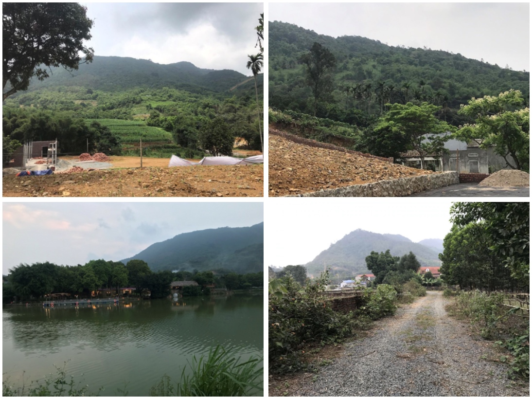 Vỡ mộng bỏ phố lên rừng tàn giấc mơ Căn nhà ngoại ô - Ảnh 2.