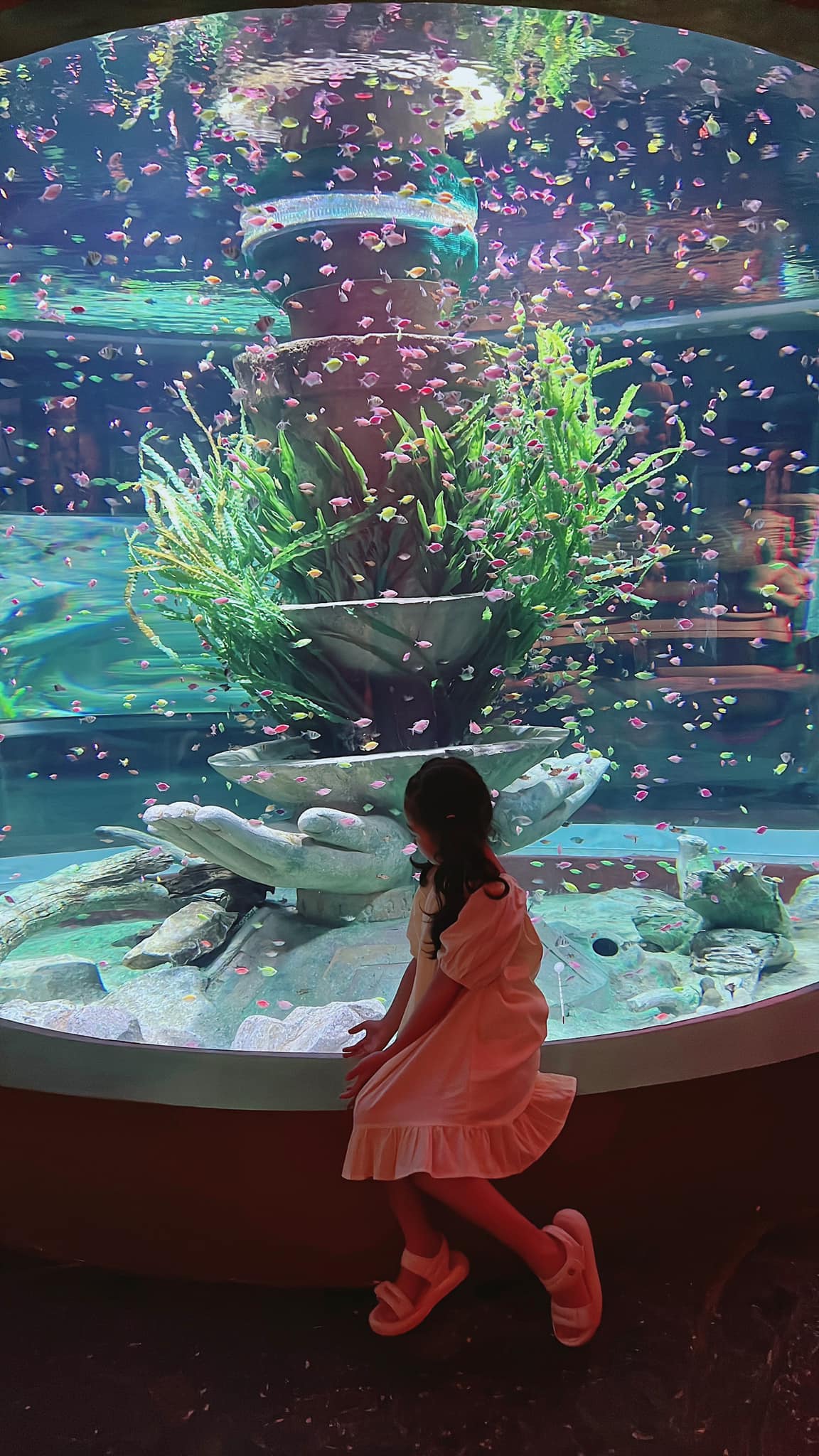 Trải nghiệm du lịch Phú Quốc cho gia đình có con nhỏ - Ảnh 9. Trải nghiệm du lịch Phú Quốc cho gia đình có con nhỏ - Ảnh 9.