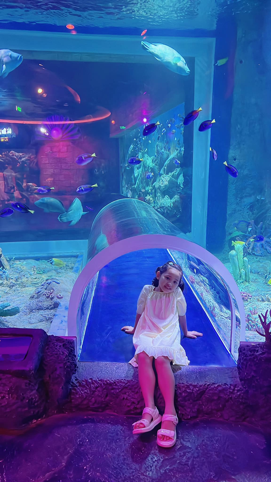 Trải nghiệm du lịch Phú Quốc cho gia đình có con nhỏ - Ảnh 8. Trải nghiệm du lịch Phú Quốc cho gia đình có con nhỏ - Ảnh 8.