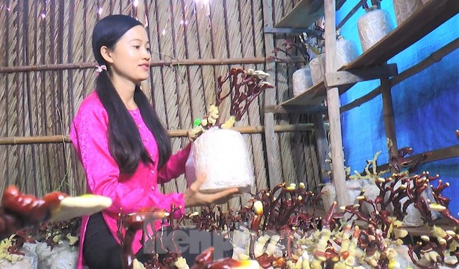 Độc lạ chậu bonsai nấm linh chi chơi Tết - Ảnh 9.