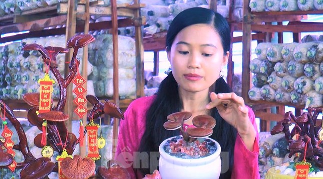 Độc lạ chậu bonsai nấm linh chi chơi Tết - Ảnh 5.