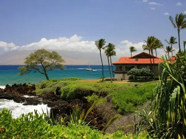 Nhà không có gì ngoài tiền thì chơi thế nào: Jeff Bezos, Mark Zuckerberg, Larry Ellison đua nhau mua đất Hawaii để nghỉ mát - Ảnh 3.