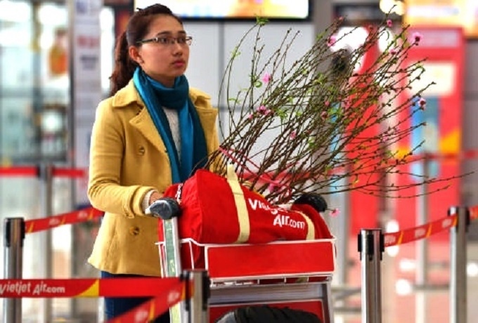 Đào, mai, quất... bay Hà Nội - TP.HCM đón Tết Nguyên đán: 500.000 đồng/bó - Ảnh 1.