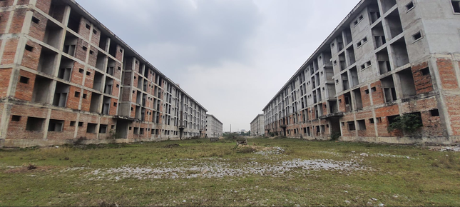 Ninh Bình chỉ đạo ‘nóng’ dự án trường đại học trăm tỷ bỏ hoang cả thập kỷ - Ảnh 2.