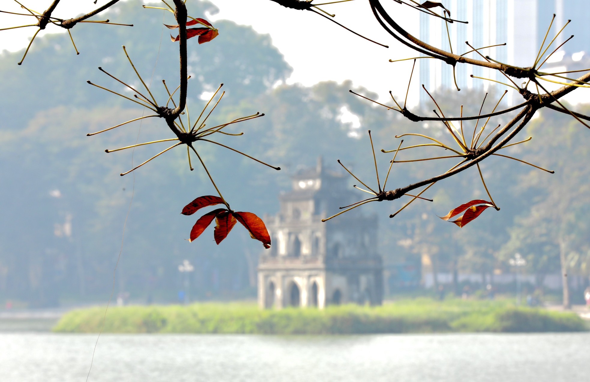 Xao xuyến vẻ đẹp Hồ Gươm khoảnh khắc giao mùa - Ảnh 7.