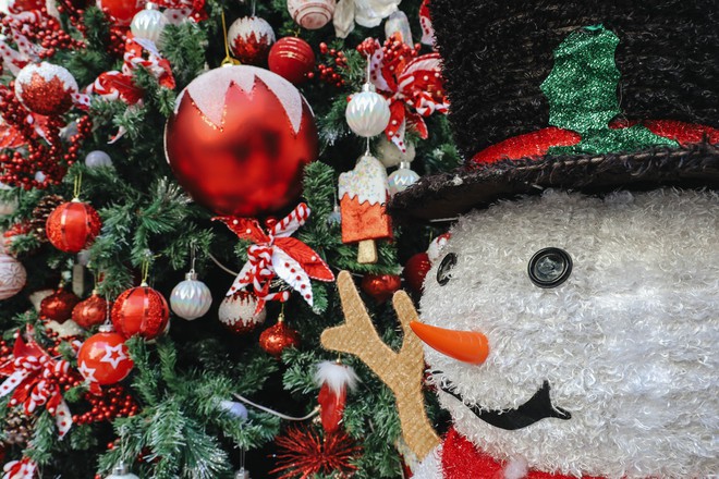 Không khí Noel tại các trường ĐH Việt Nam: Đâu cũng rực rỡ như trời Tây, có nơi còn “tậu” hẳn máy phun tuyết nhân tạo - Ảnh 12.