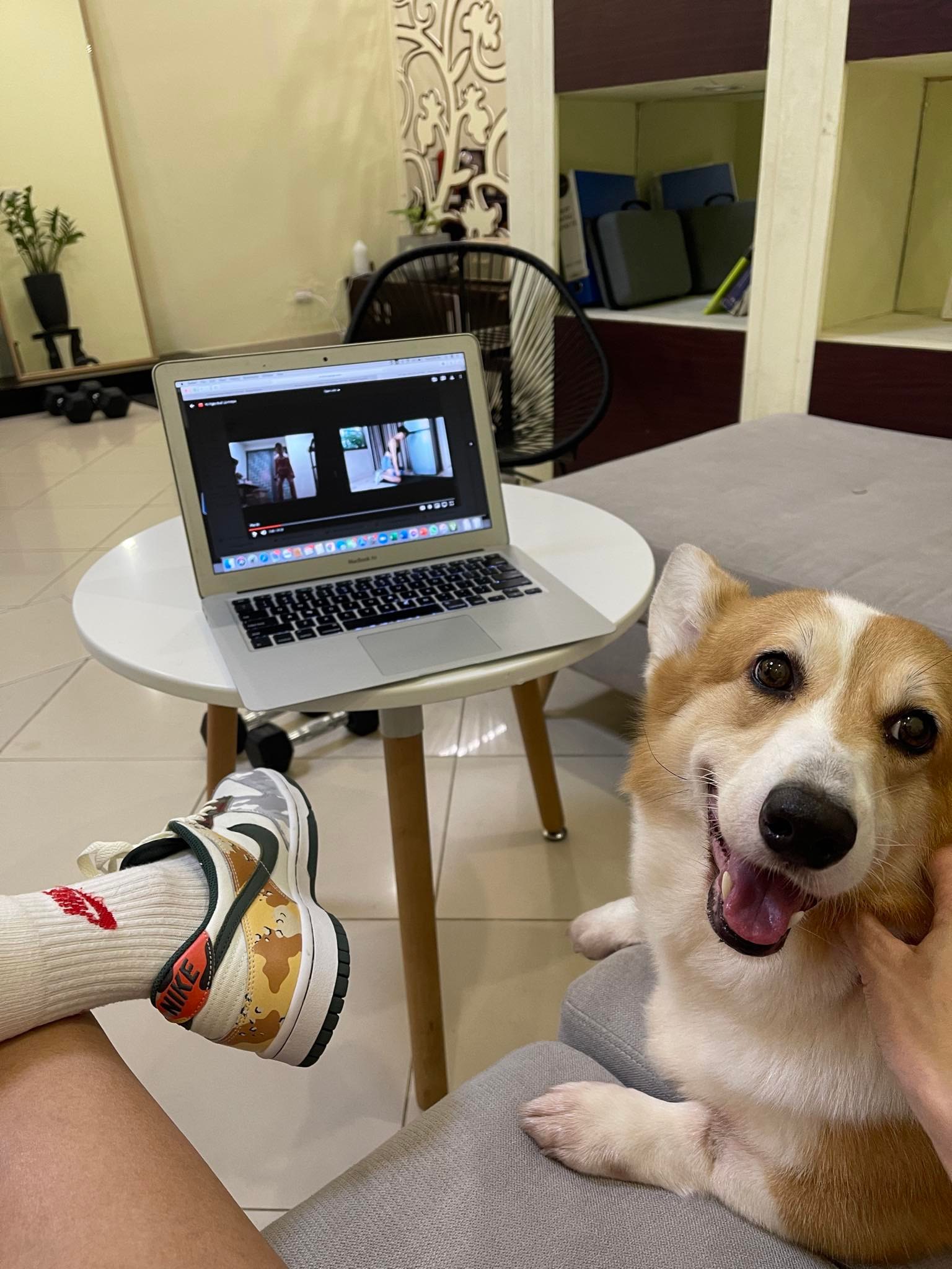 Chuyện người trẻ nuôi thú cưng: Sẵn sàng chi cả trăm triệu để sửa nhà cửa cho chó mèo có không gian chơi - Ảnh 8.