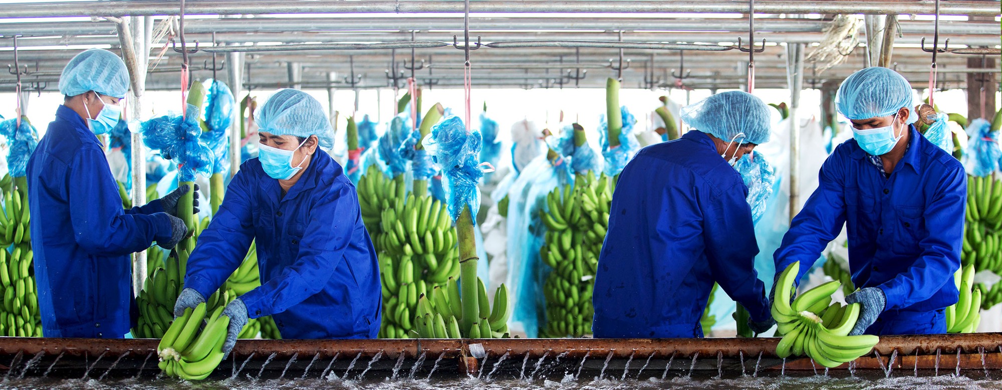 Bầu Đức giải lời nguyền: Làm nông nghiệp chục năm, không có sản phẩm gì để nói với thiên hạ - Ảnh 6.