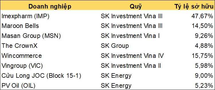 Báo Hàn: SK Group muốn thoái lượng cổ phần trị giá nhiều tỷ USD tại Vingroup, Masan, Pharmacity...? - Ảnh 1.