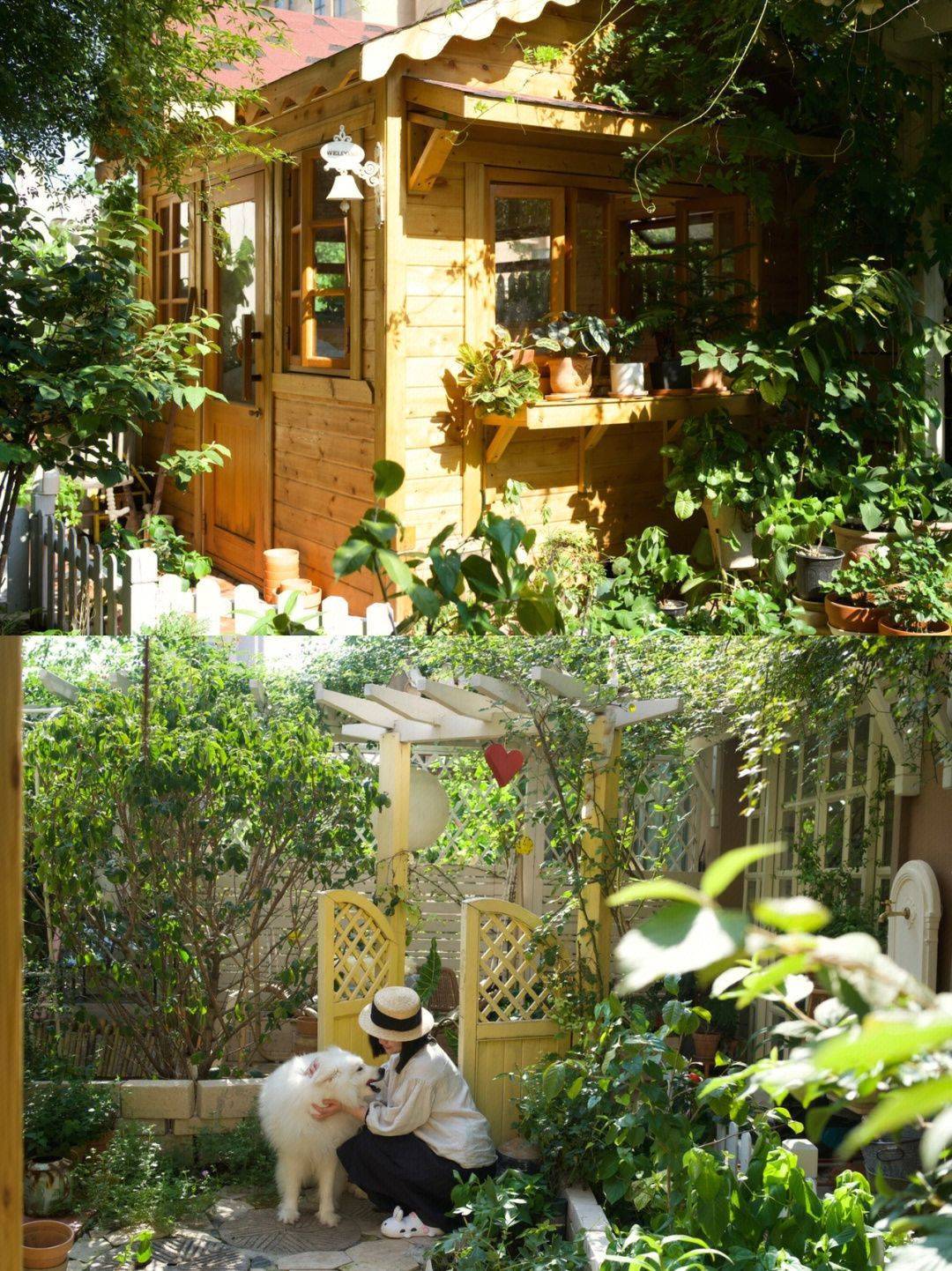 Mãn nhãn trước khu vườn 4 mùa hoa nở, cây cối tươi tốt quanh năm của cô gái 9x - Ảnh 8. Mãn nhãn trước khu vườn 4 mùa hoa nở, cây cối tươi tốt quanh năm của cô gái 9x - Ảnh 8.