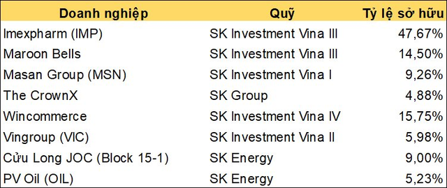 DealStreetAsia: SK Group bác bỏ thông tin thoái một số khoản đầu tư lớn trong danh mục tỷ đô tại Việt Nam, Malaysia - Ảnh 1.