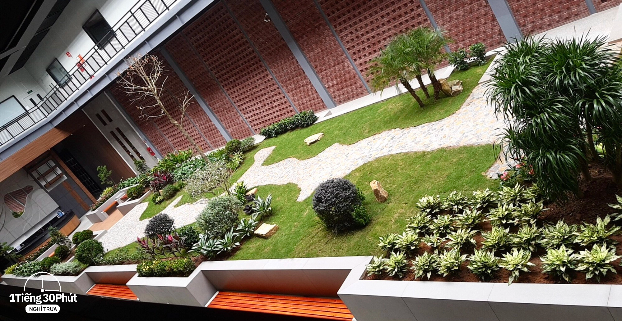 Công ty có khuôn viên như resort cao cấp với căng tin phục vụ ăn trưa miễn phí cho toàn bộ nhân viên - Ảnh 4.