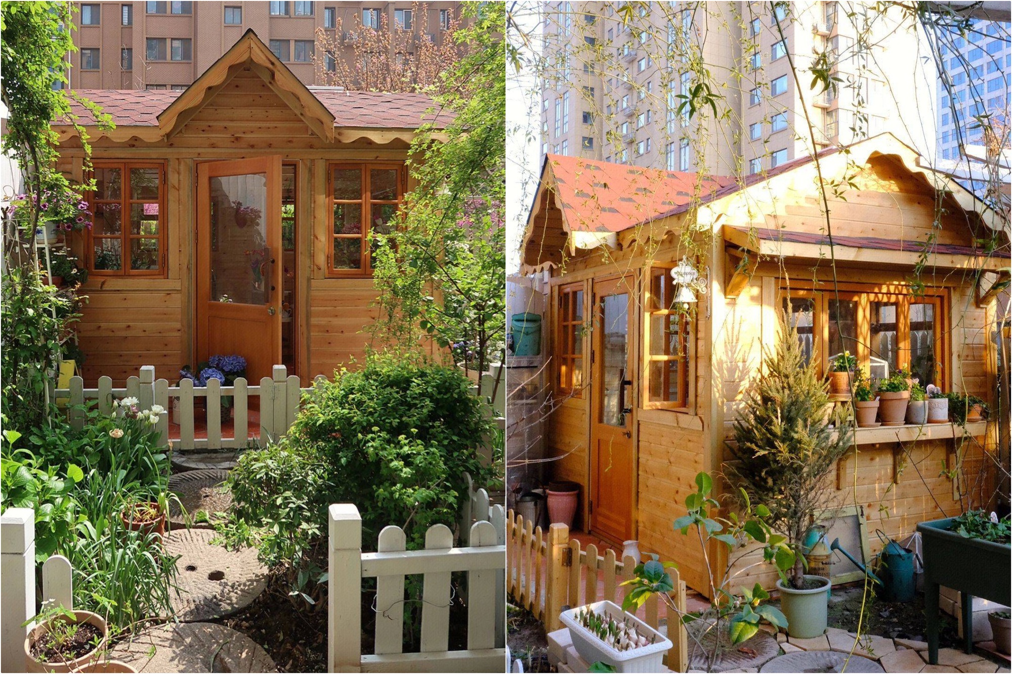 Mãn nhãn trước khu vườn 4 mùa hoa nở, cây cối tươi tốt quanh năm của cô gái 9x - Ảnh 6. Mãn nhãn trước khu vườn 4 mùa hoa nở, cây cối tươi tốt quanh năm của cô gái 9x - Ảnh 6.