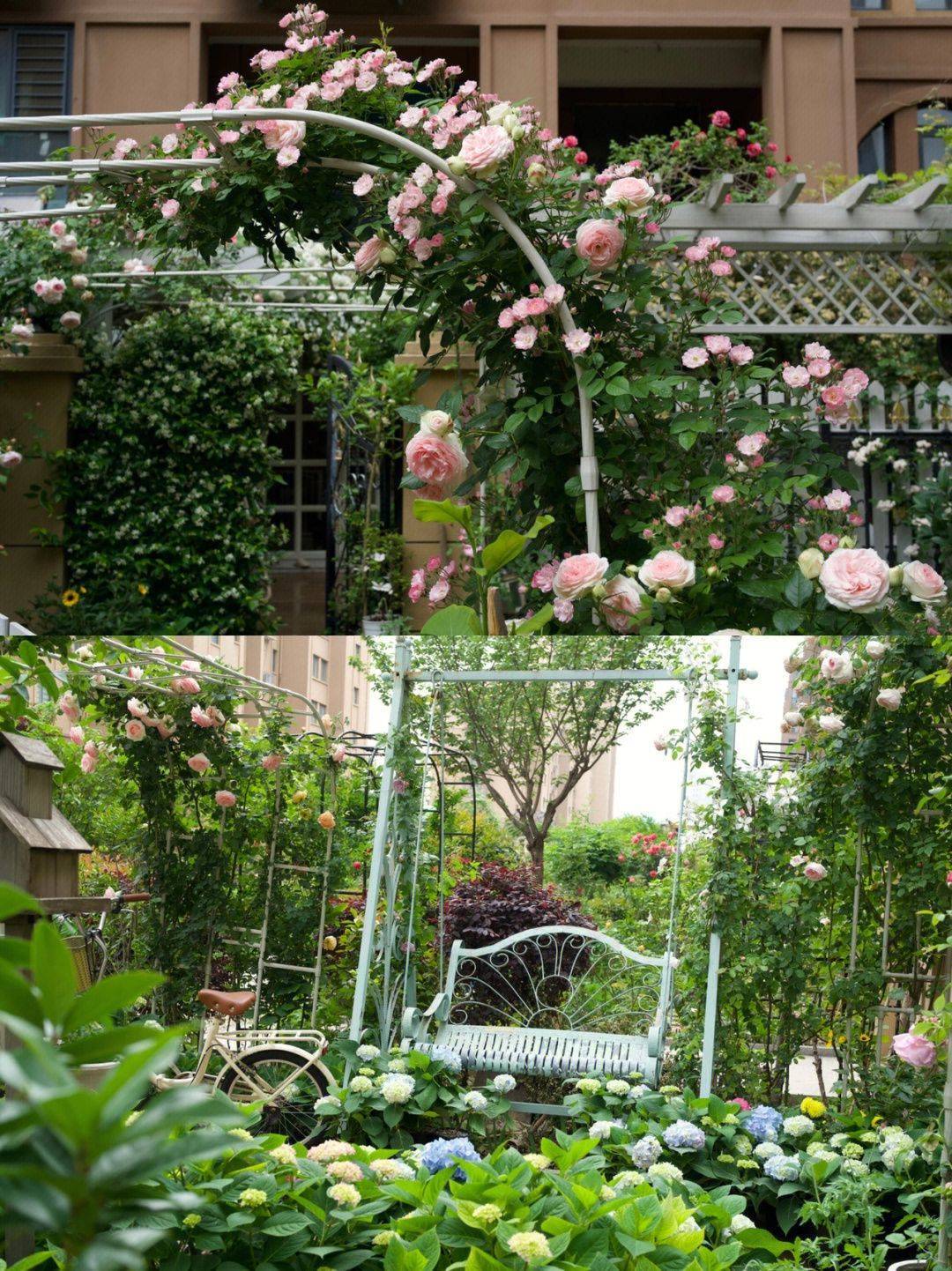 Mãn nhãn trước khu vườn 4 mùa hoa nở, cây cối tươi tốt quanh năm của cô gái 9x - Ảnh 5. Mãn nhãn trước khu vườn 4 mùa hoa nở, cây cối tươi tốt quanh năm của cô gái 9x - Ảnh 5.