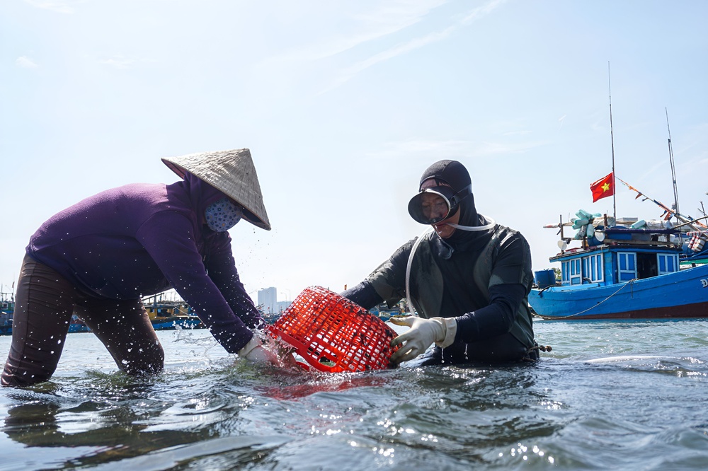  Ảnh: Những ngư dân cột hơn 10kg chì vào người, lặn xuống đáy sông Hàn mưu sinh ngày giá rét - Ảnh 13.