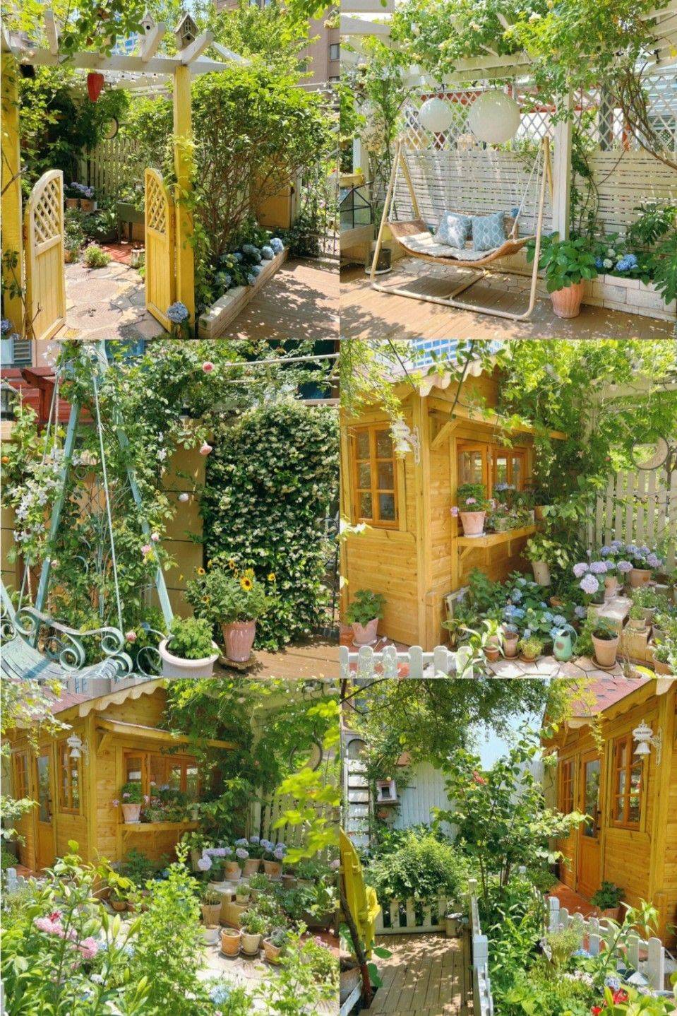 Mãn nhãn trước khu vườn 4 mùa hoa nở, cây cối tươi tốt quanh năm của cô gái 9x - Ảnh 3. Mãn nhãn trước khu vườn 4 mùa hoa nở, cây cối tươi tốt quanh năm của cô gái 9x - Ảnh 3.