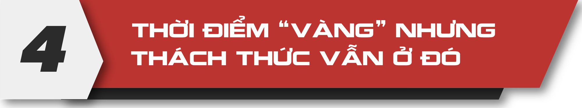 Ô tô điện ‘Make in Vietnam’ hiện thực hóa giấc mơ ‘cắm cờ trên đất Mỹ’ của tỷ phú Phạm Nhật Vượng - Ảnh 8. Ô tô điện ‘Make in Vietnam’ hiện thực hóa giấc mơ ‘cắm cờ trên đất Mỹ’ của tỷ phú Phạm Nhật Vượng - Ảnh 8.