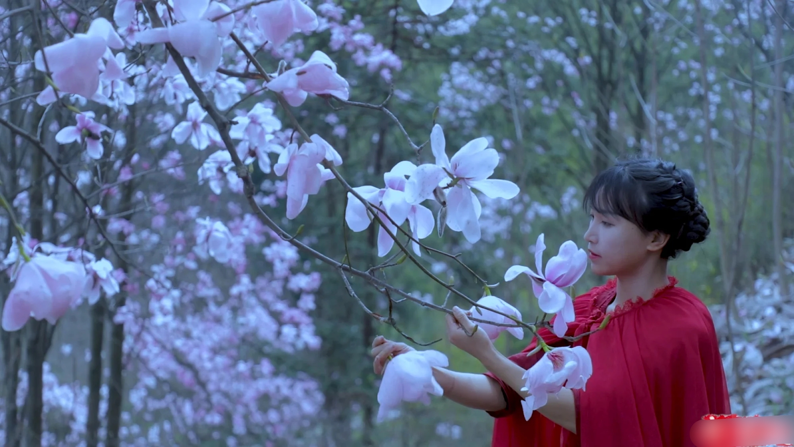 Sức hút của Youtuber hot nhất Trung Quốc 1 thời: Ở ẩn cả năm, tranh chấp kiện cáo nhưng lượt theo dõi vẫn tăng mạnh - Ảnh 2.