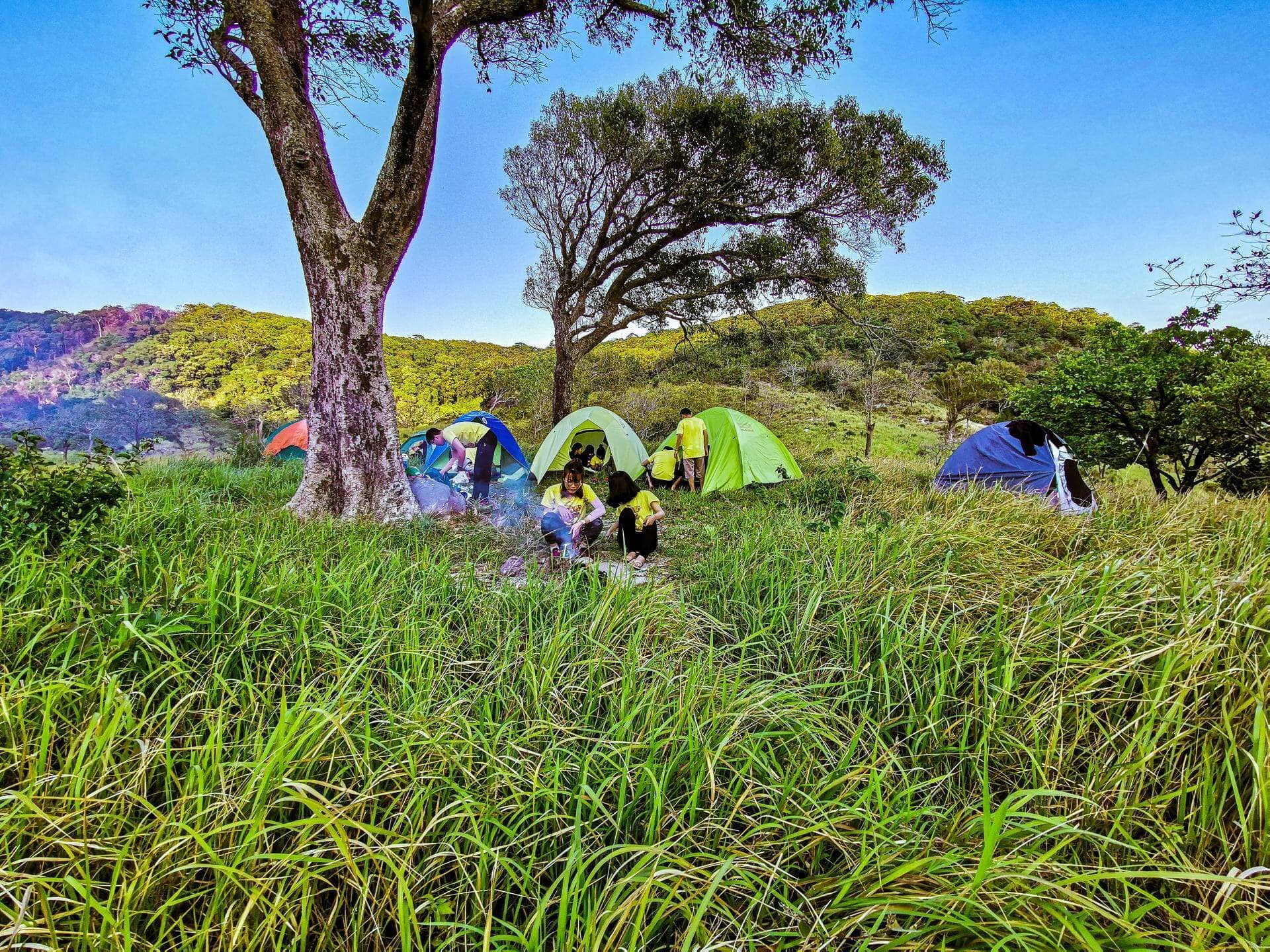 Tết Nguyên đán du lịch ở vùng biển Ninh Thuận vừa hưởng thời tiết trong lành, vừa thưởng cảnh đẹp mà lại vắng khách - Ảnh 18.