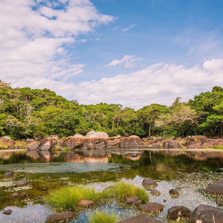 Tết Nguyên đán du lịch ở vùng biển Ninh Thuận vừa hưởng thời tiết trong lành, vừa thưởng cảnh đẹp mà lại vắng khách - Ảnh 16.