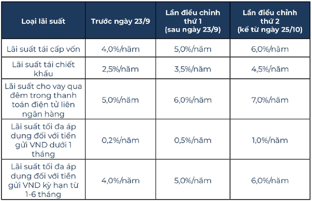 Chính sách tiền tệ năm 2022: Kìm hãm tỷ giá, áp chế lãi suất - Ảnh 9.