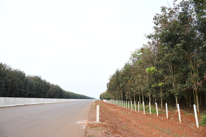Hình ảnh bất ngờ ở tuyến cao tốc Phan Thiết - Dầu Giây ngày thông xe kỹ thuật - Ảnh 3.