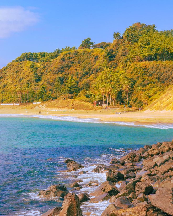 6 địa điểm tận hưởng mùa thu, ngắm lá vàng rơi lãng mạn ở Hàn Quốc - Ảnh 14. 6 địa điểm tận hưởng mùa thu, ngắm lá vàng rơi lãng mạn ở Hàn Quốc - Ảnh 14.