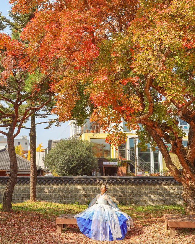 6 địa điểm tận hưởng mùa thu, ngắm lá vàng rơi lãng mạn ở Hàn Quốc - Ảnh 11. 6 địa điểm tận hưởng mùa thu, ngắm lá vàng rơi lãng mạn ở Hàn Quốc - Ảnh 11.