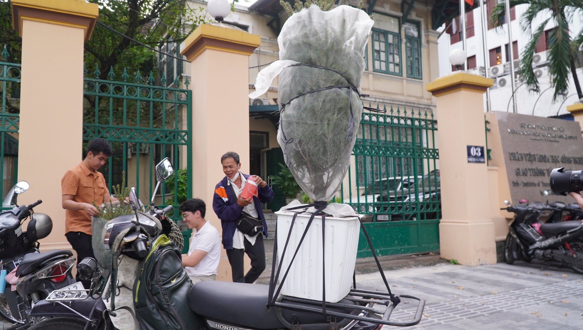 TP.HCM: Người dân chi tiền triệu mua thông tươi chơi Giáng sinh - Ảnh 13. TP.HCM: Người dân chi tiền triệu mua thông tươi chơi Giáng sinh - Ảnh 13.