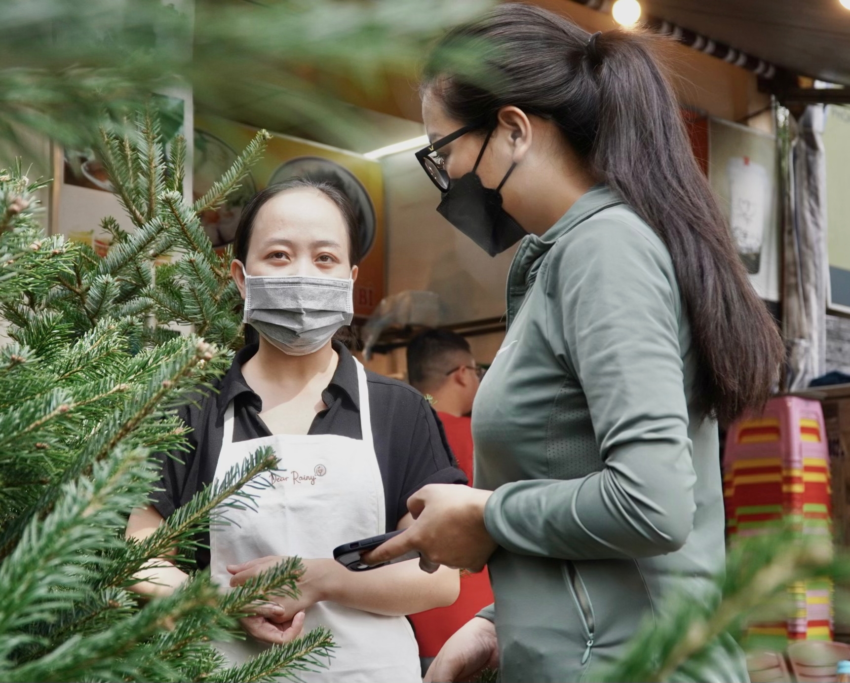 TP.HCM: Người dân chi tiền triệu mua thông tươi chơi Giáng sinh - Ảnh 1. TP.HCM: Người dân chi tiền triệu mua thông tươi chơi Giáng sinh - Ảnh 1.