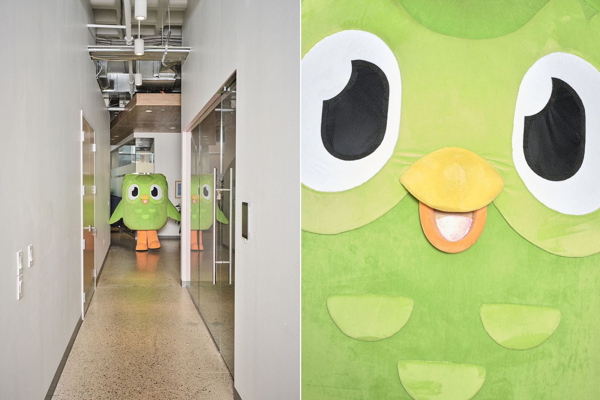 Duolingo: Từ một startup thua lỗ, CEO không màng doanh thu đến đế chế thay đổi ‘cuộc chơi’ học ngoại ngữ trực tuyến - Ảnh 1. Duolingo: Từ một startup thua lỗ, CEO không màng doanh thu đến đế chế thay đổi ‘cuộc chơi’ học ngoại ngữ trực tuyến - Ảnh 1.
