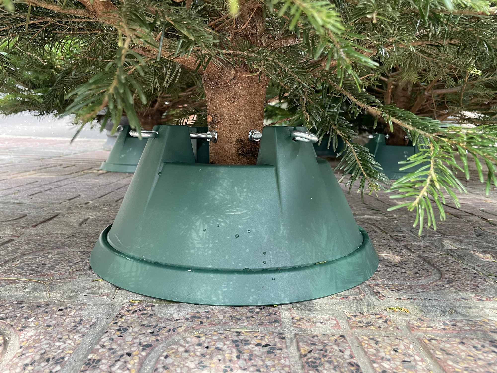 TP.HCM: Người dân chi tiền triệu mua thông tươi chơi Giáng sinh - Ảnh 6. TP.HCM: Người dân chi tiền triệu mua thông tươi chơi Giáng sinh - Ảnh 6.