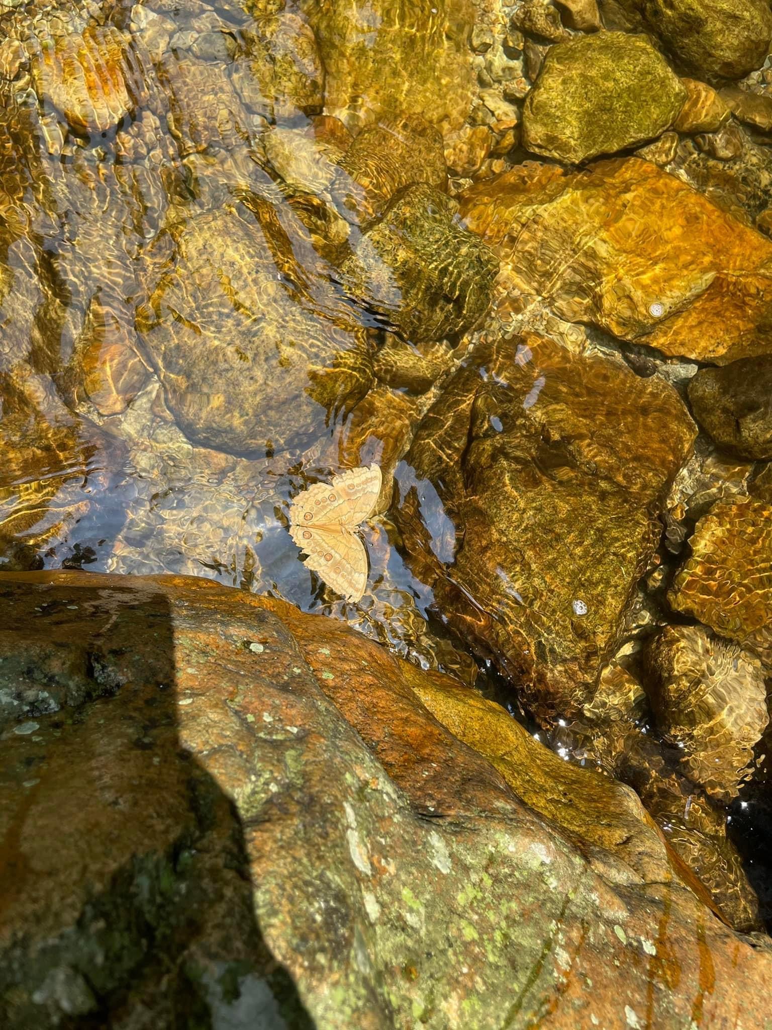 Tuyệt cảnh thác nước rồng trắng ít người biết ở Lào Cai - Ảnh 6.