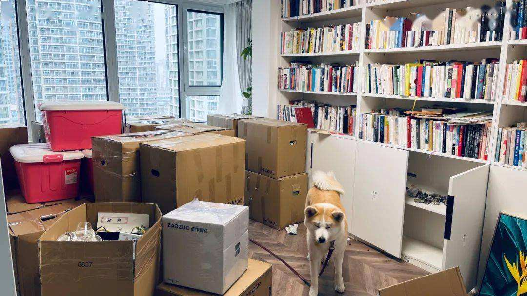     日本の作家は言う: 30 年間の独身、犯罪ではなくチャンス!  -写真1。