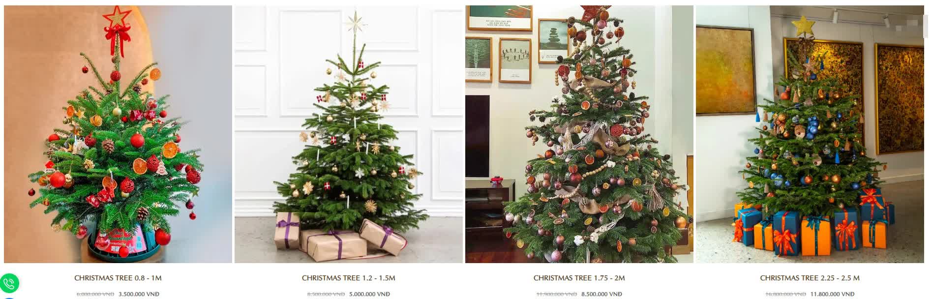 Hà Nội: Thị trường cây thông Noel nhộn nhịp, mức giá từ 10 - 20 triệu hút khách mua - Ảnh 8. Hà Nội: Thị trường cây thông Noel nhộn nhịp, mức giá từ 10 - 20 triệu hút khách mua - Ảnh 8.