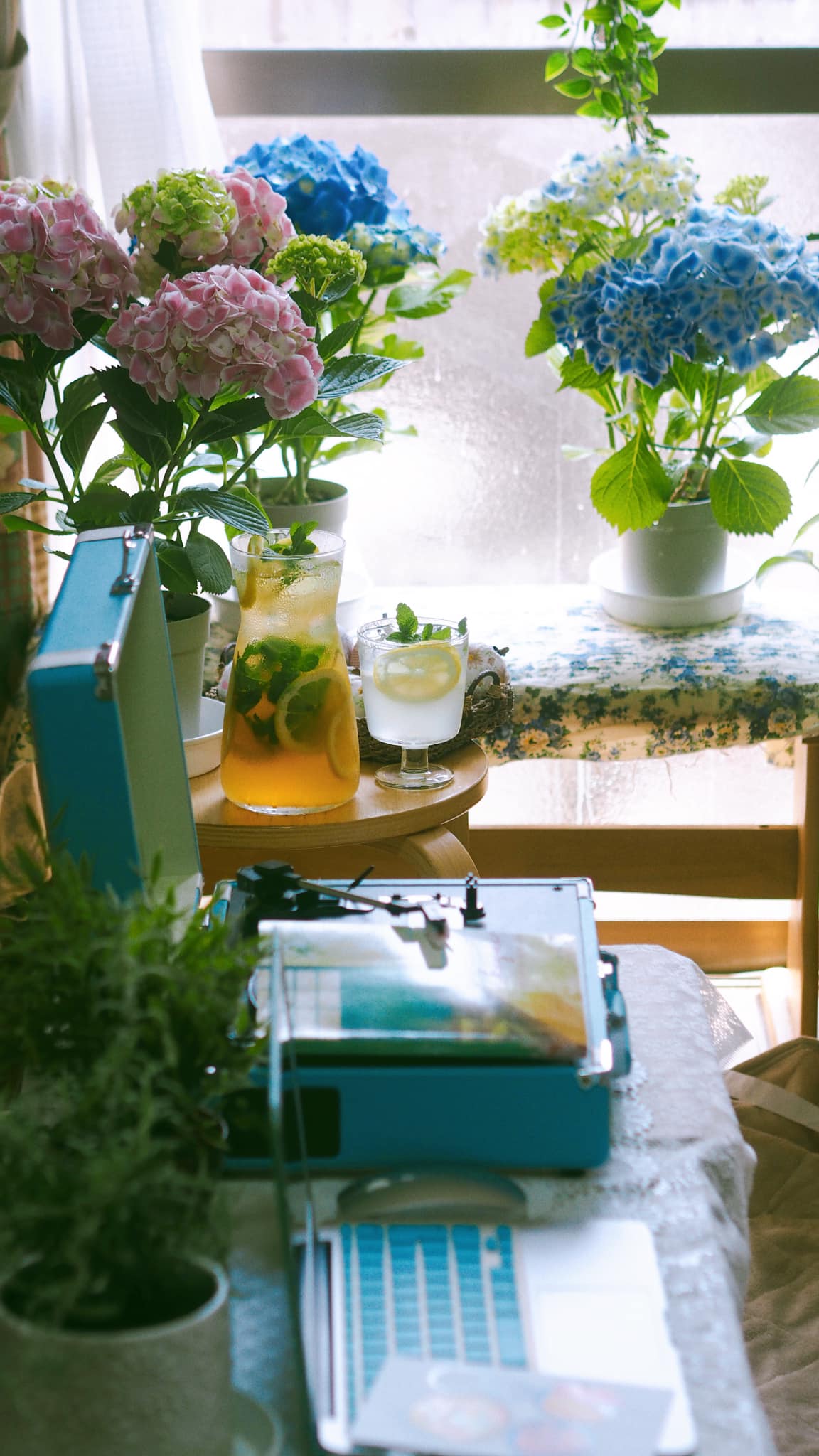 Căn hộ của mẹ Việt ở Nhật chỉ 50m2 nhưng đẹp bình yên, tràn ngập cây xanh - Ảnh 5.