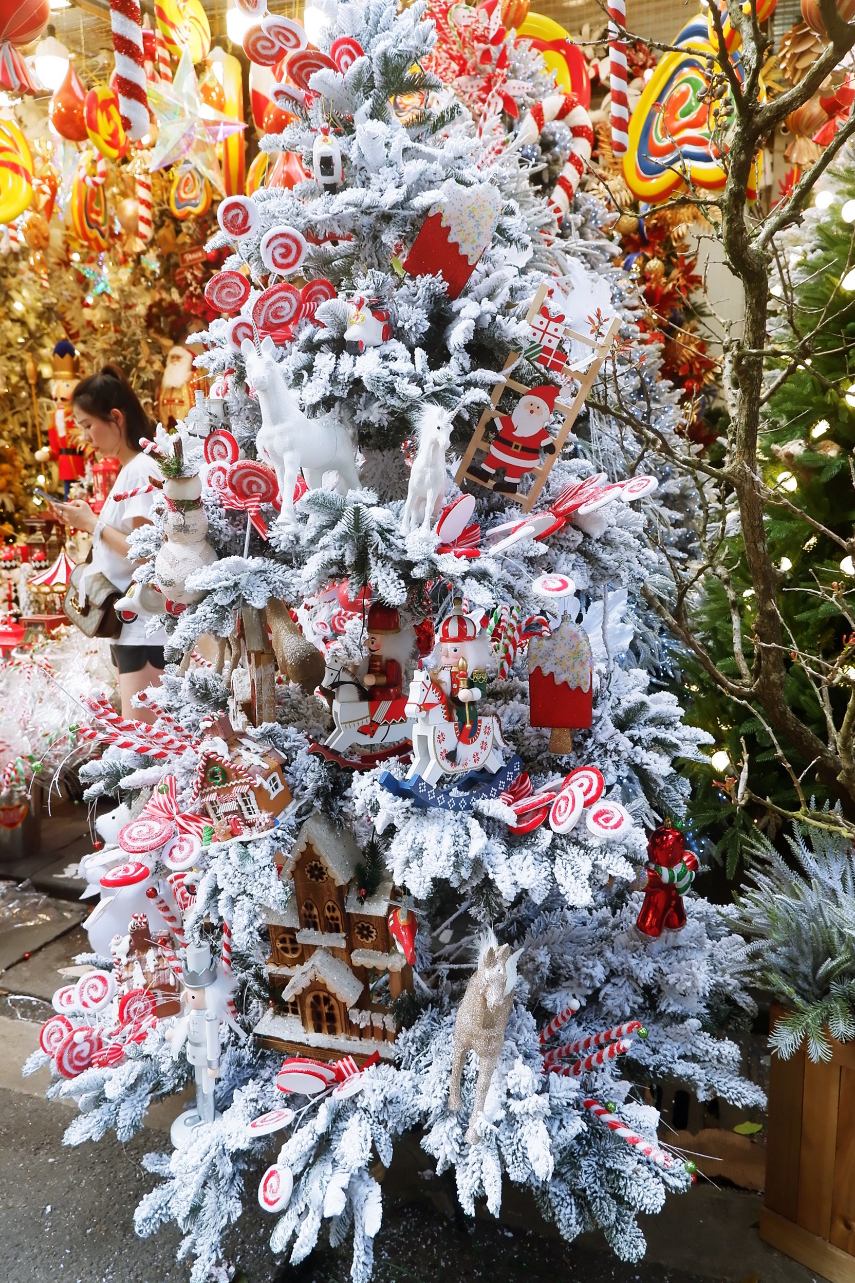 Hà Nội: Thị trường cây thông Noel nhộn nhịp, mức giá từ 10 - 20 triệu hút khách mua - Ảnh 5. Hà Nội: Thị trường cây thông Noel nhộn nhịp, mức giá từ 10 - 20 triệu hút khách mua - Ảnh 5.