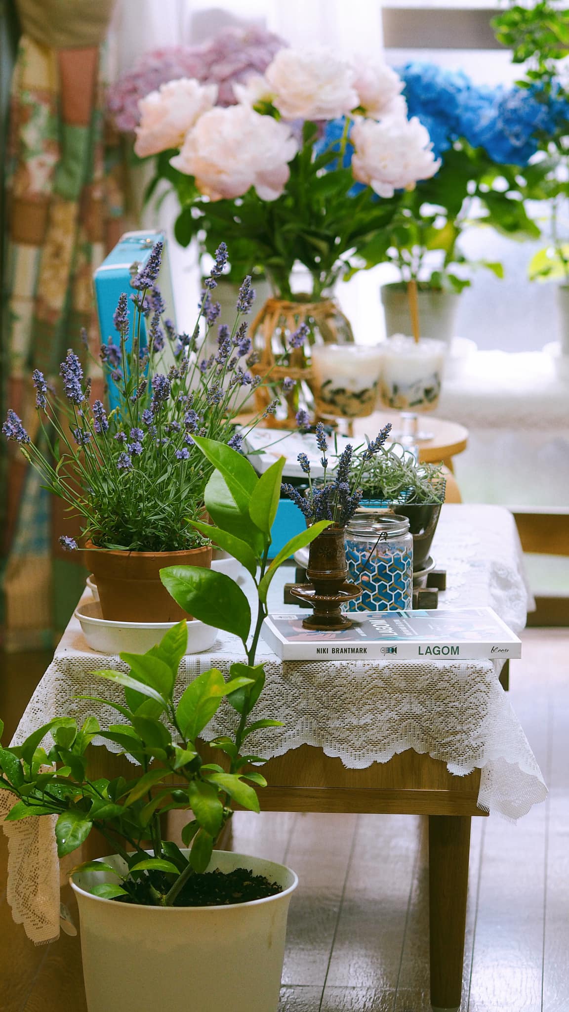 Căn hộ của mẹ Việt ở Nhật chỉ 50m2 nhưng đẹp bình yên, tràn ngập cây xanh - Ảnh 3.