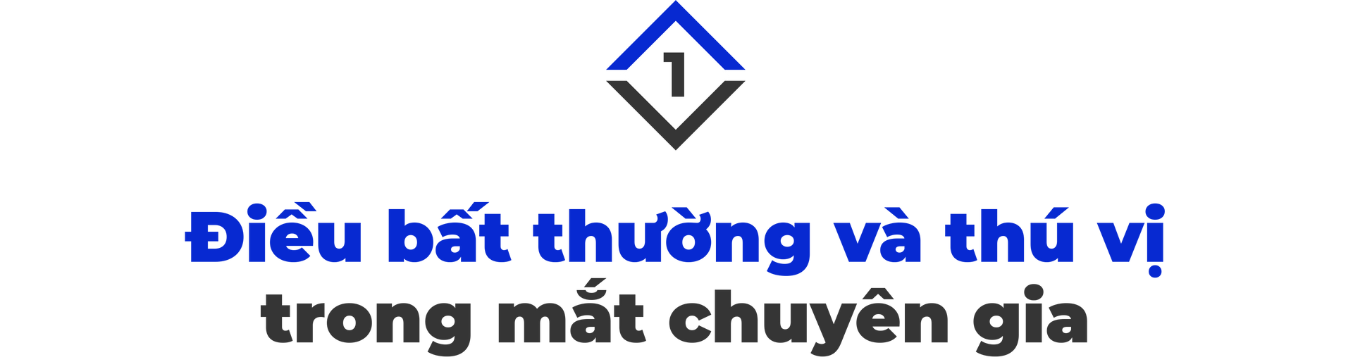 Kỳ tích và ‘bài tập về nhà’ của VinFast khi nộp đơn IPO tại Mỹ - Ảnh 1.